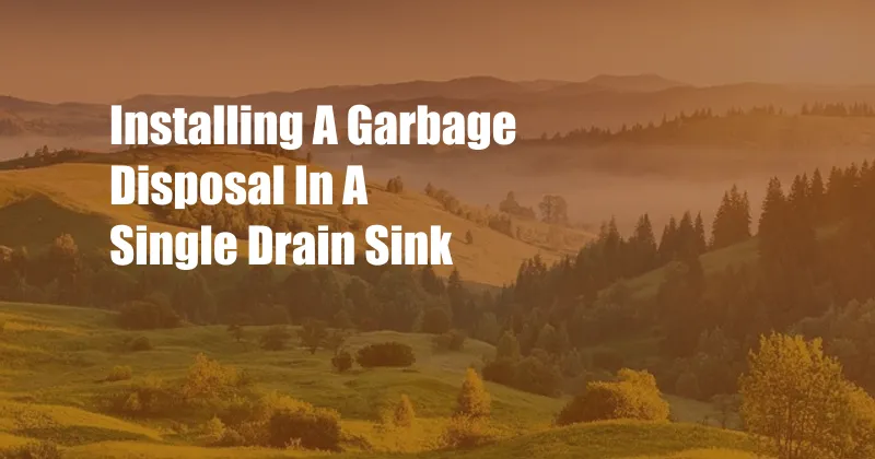 Installing A Garbage Disposal In A Single Drain Sink