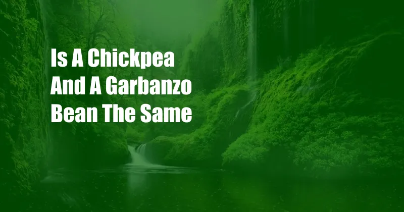 Is A Chickpea And A Garbanzo Bean The Same