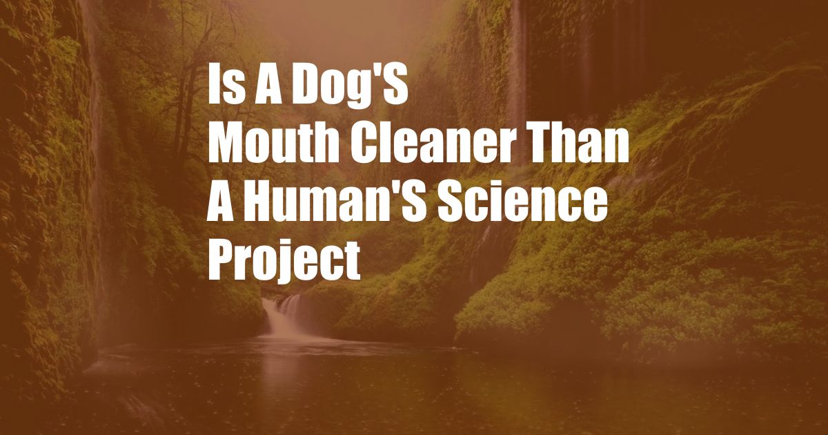 Is A Dog'S Mouth Cleaner Than A Human'S Science Project