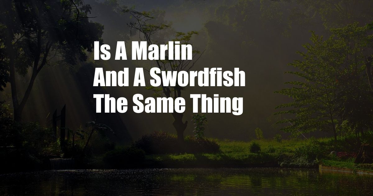 Is A Marlin And A Swordfish The Same Thing