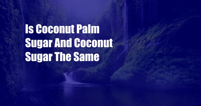 Is Coconut Palm Sugar And Coconut Sugar The Same