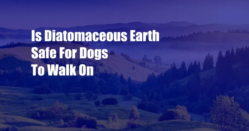 Is Diatomaceous Earth Safe For Dogs To Walk On