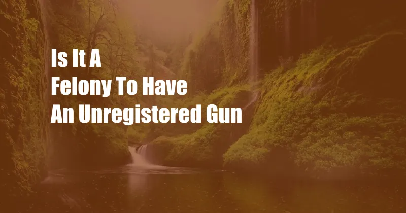 Is It A Felony To Have An Unregistered Gun