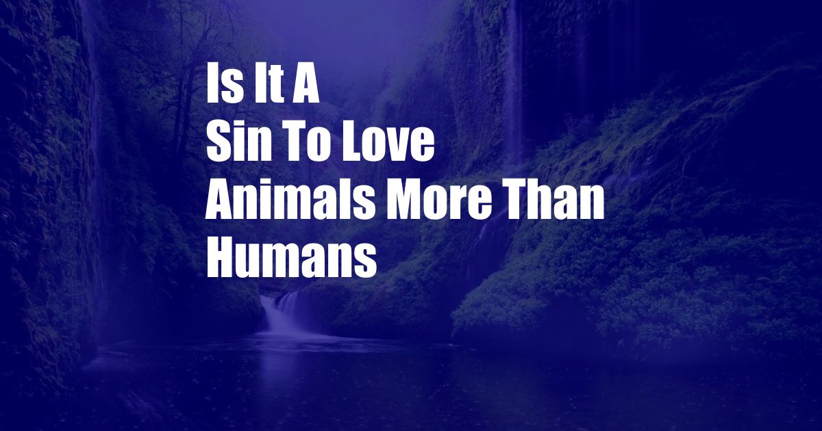 Is It A Sin To Love Animals More Than Humans