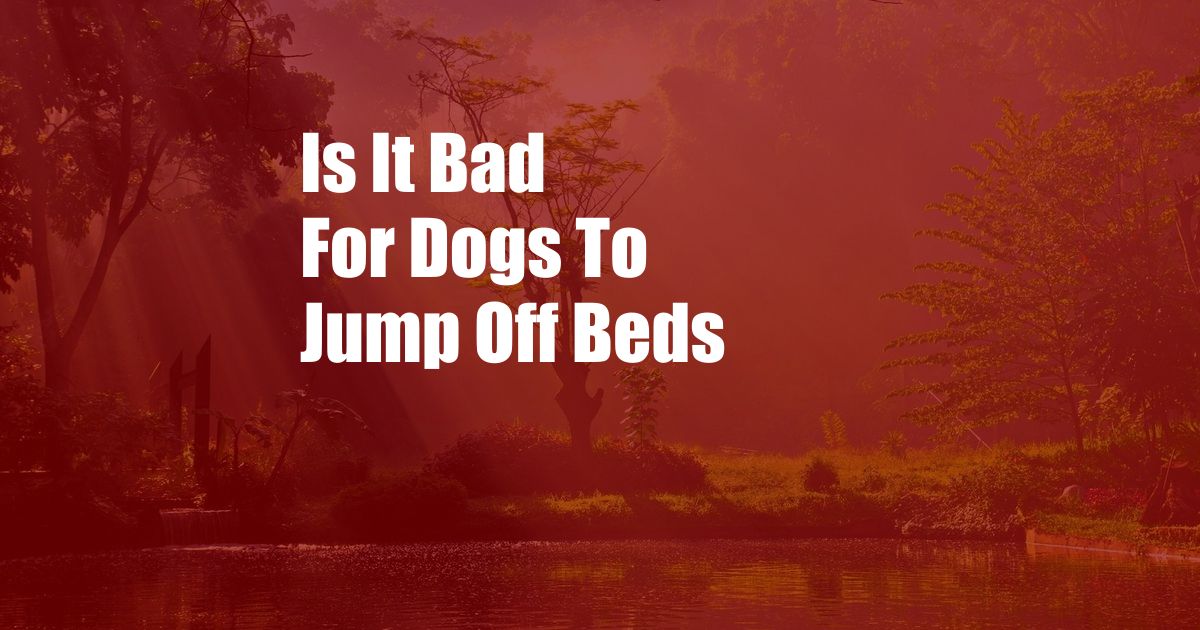 Is It Bad For Dogs To Jump Off Beds