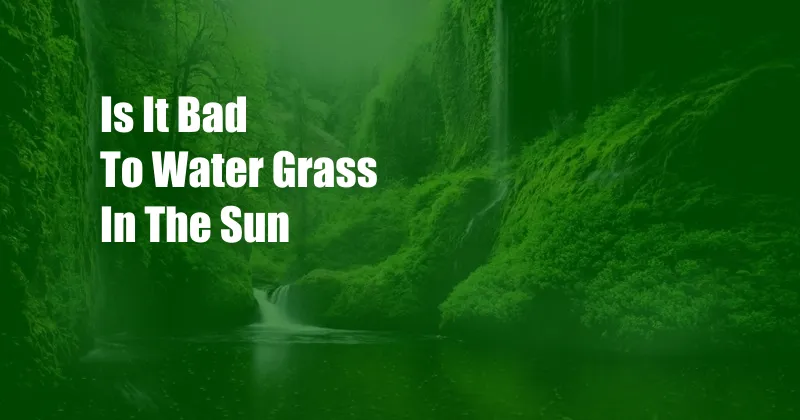 Is It Bad To Water Grass In The Sun