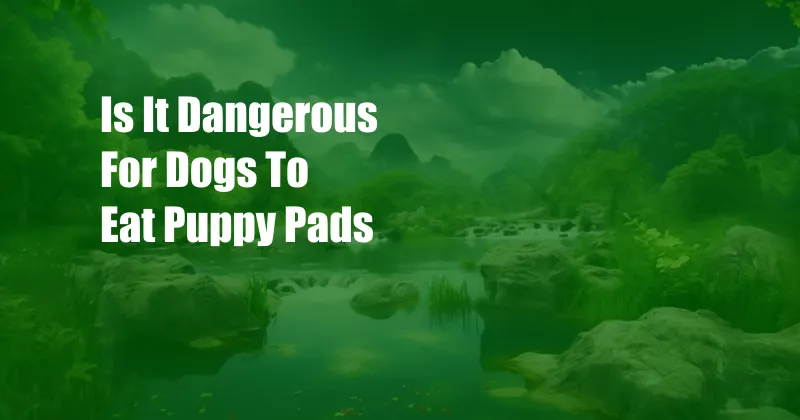 Is It Dangerous For Dogs To Eat Puppy Pads