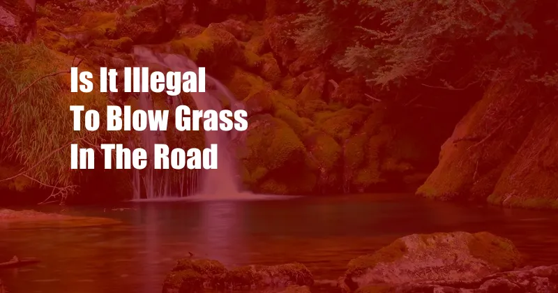 Is It Illegal To Blow Grass In The Road