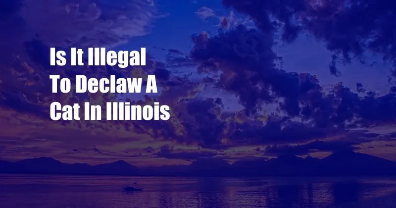 Is It Illegal To Declaw A Cat In Illinois