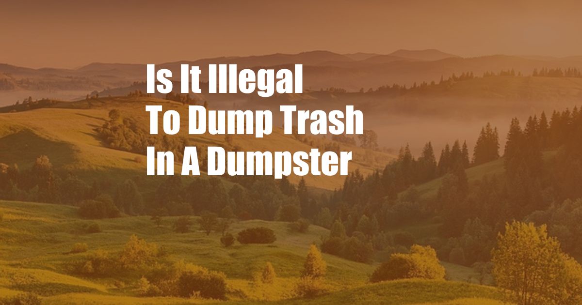 Is It Illegal To Dump Trash In A Dumpster