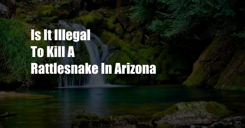 Is It Illegal To Kill A Rattlesnake In Arizona