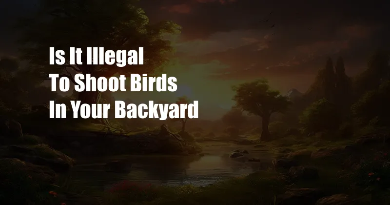 Is It Illegal To Shoot Birds In Your Backyard