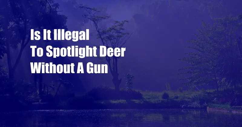 Is It Illegal To Spotlight Deer Without A Gun