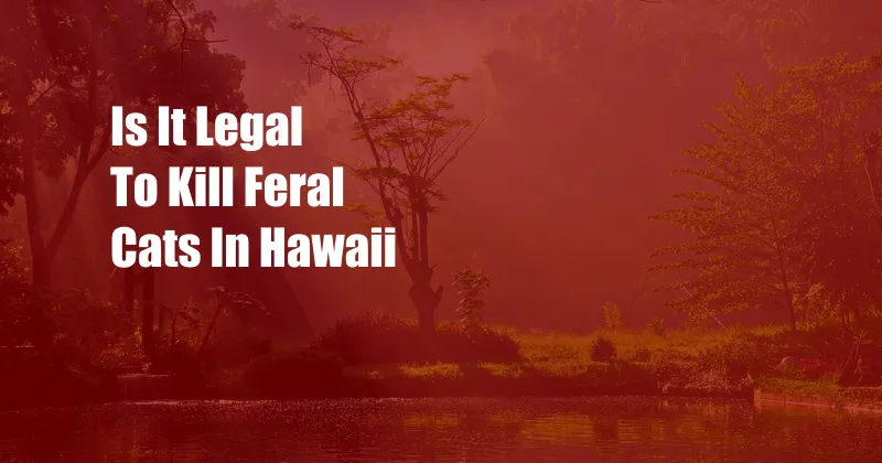 Is It Legal To Kill Feral Cats In Hawaii