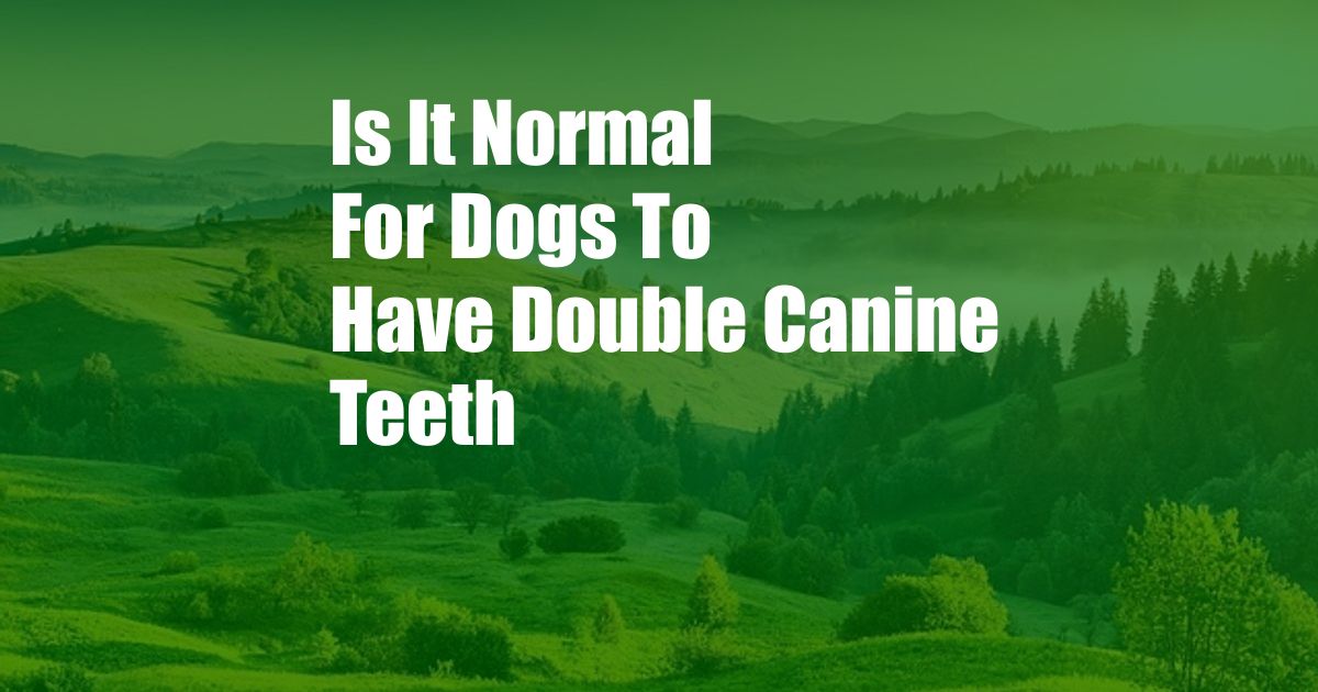 Is It Normal For Dogs To Have Double Canine Teeth