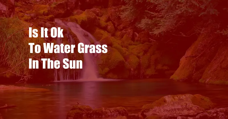 Is It Ok To Water Grass In The Sun