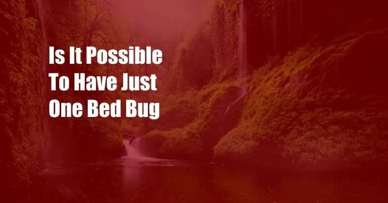 Is It Possible To Have Just One Bed Bug