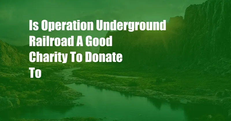 Is Operation Underground Railroad A Good Charity To Donate To