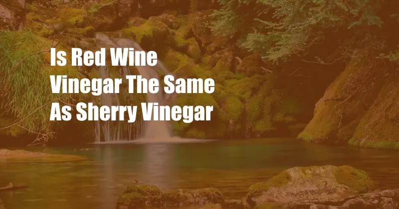 Is Red Wine Vinegar The Same As Sherry Vinegar