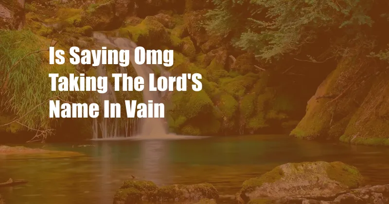 Is Saying Omg Taking The Lord'S Name In Vain