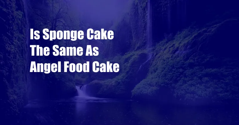 Is Sponge Cake The Same As Angel Food Cake