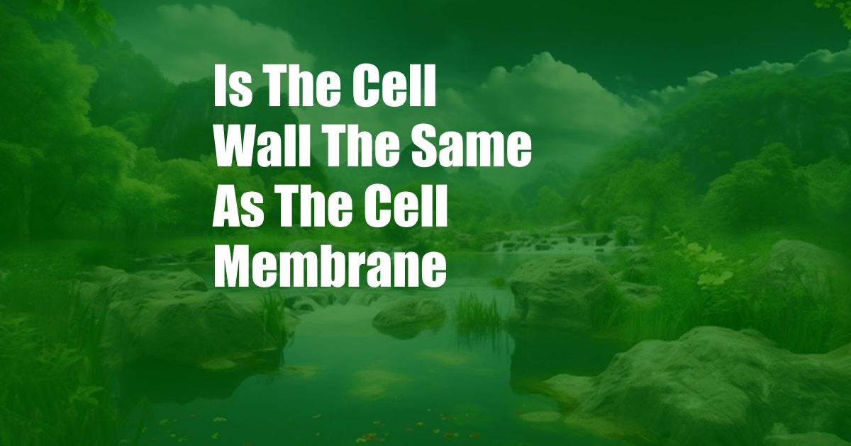 Is The Cell Wall The Same As The Cell Membrane