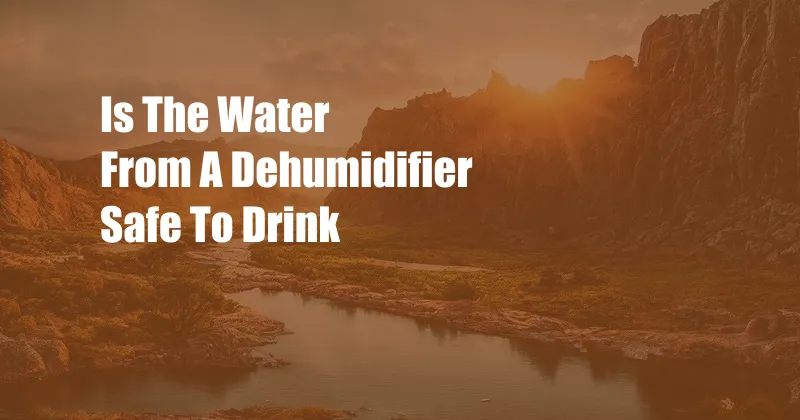 Is The Water From A Dehumidifier Safe To Drink