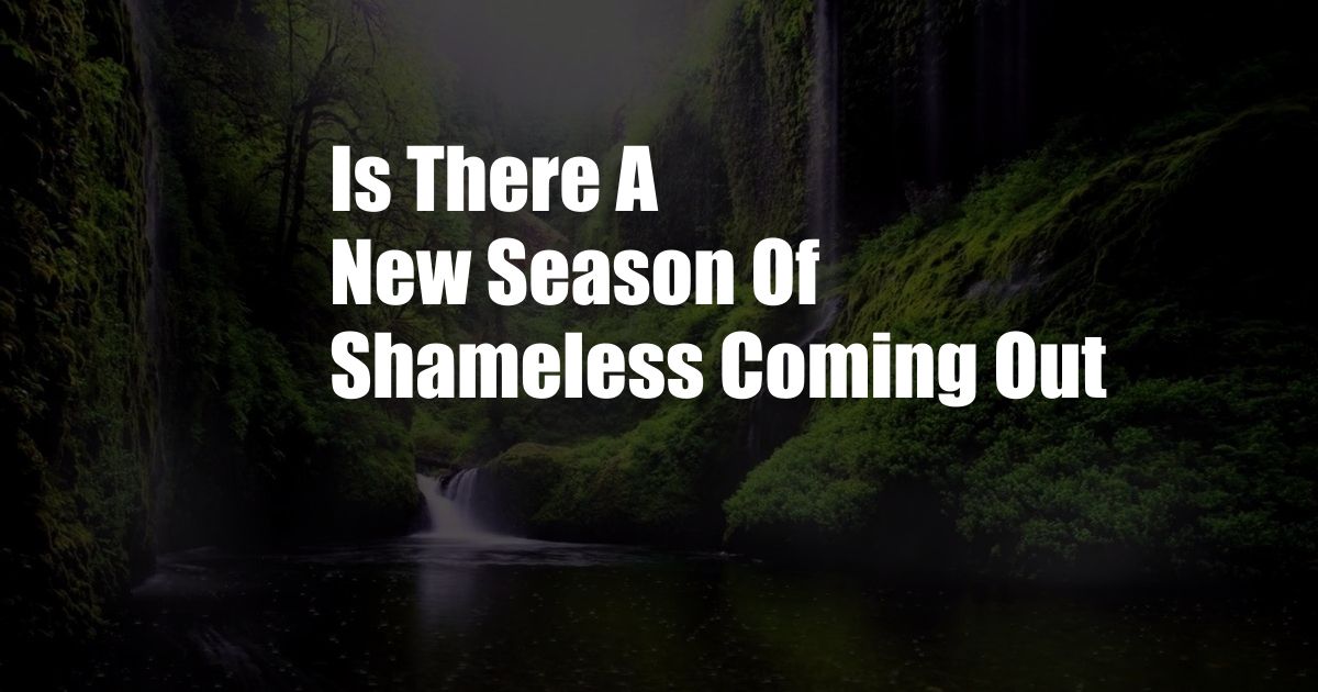 Is There A New Season Of Shameless Coming Out