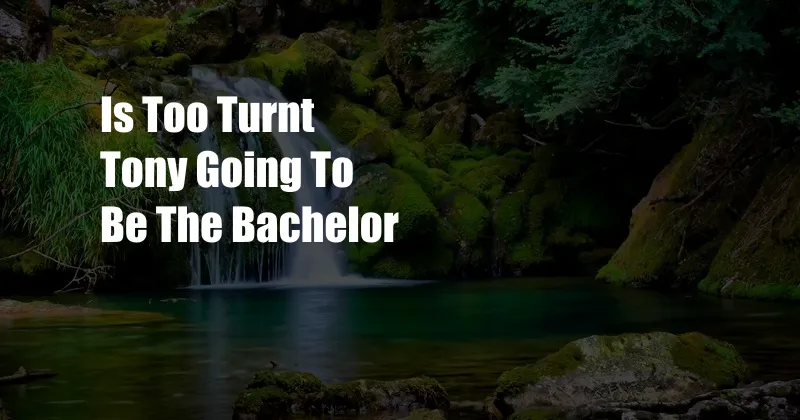 Is Too Turnt Tony Going To Be The Bachelor