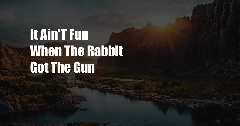 It Ain'T Fun When The Rabbit Got The Gun