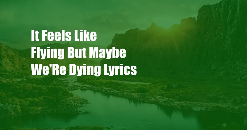 It Feels Like Flying But Maybe We'Re Dying Lyrics