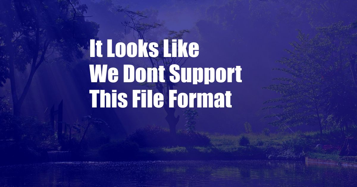 It Looks Like We Dont Support This File Format