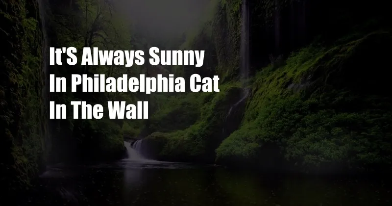 It'S Always Sunny In Philadelphia Cat In The Wall