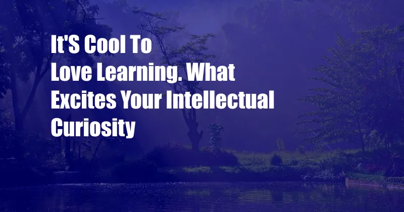 It'S Cool To Love Learning. What Excites Your Intellectual Curiosity