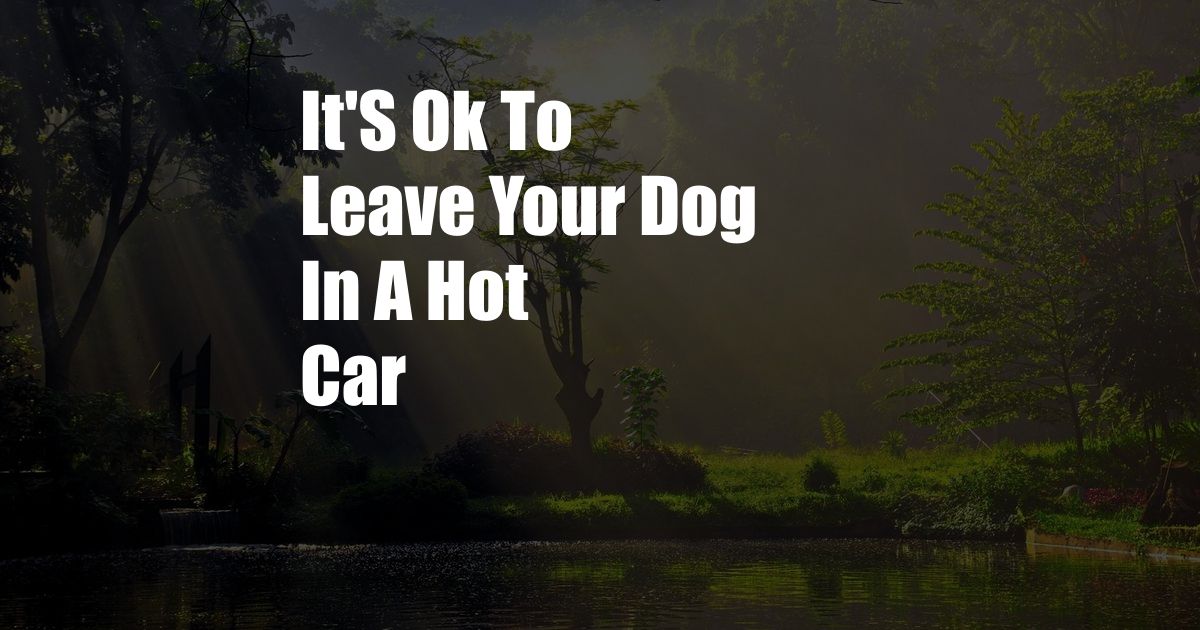 It'S Ok To Leave Your Dog In A Hot Car