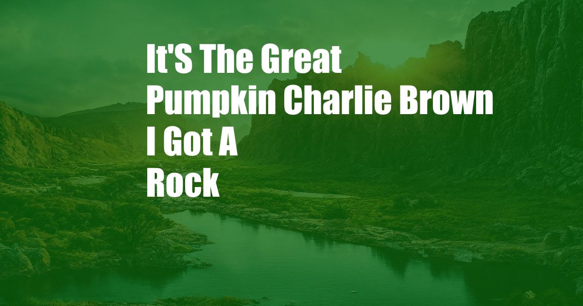 It'S The Great Pumpkin Charlie Brown I Got A Rock