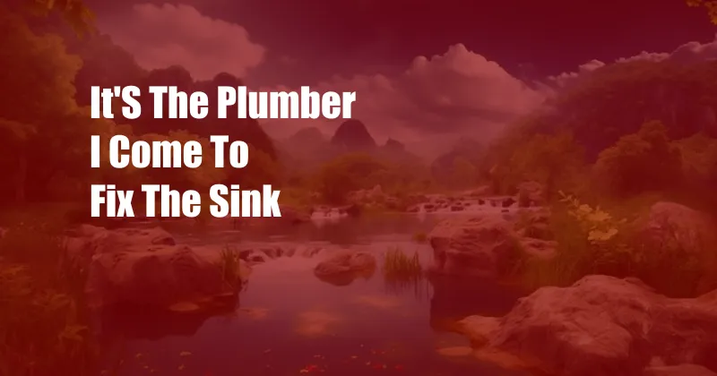 It'S The Plumber I Come To Fix The Sink