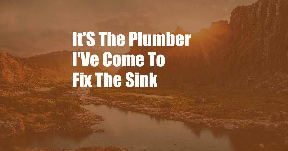 It'S The Plumber I'Ve Come To Fix The Sink