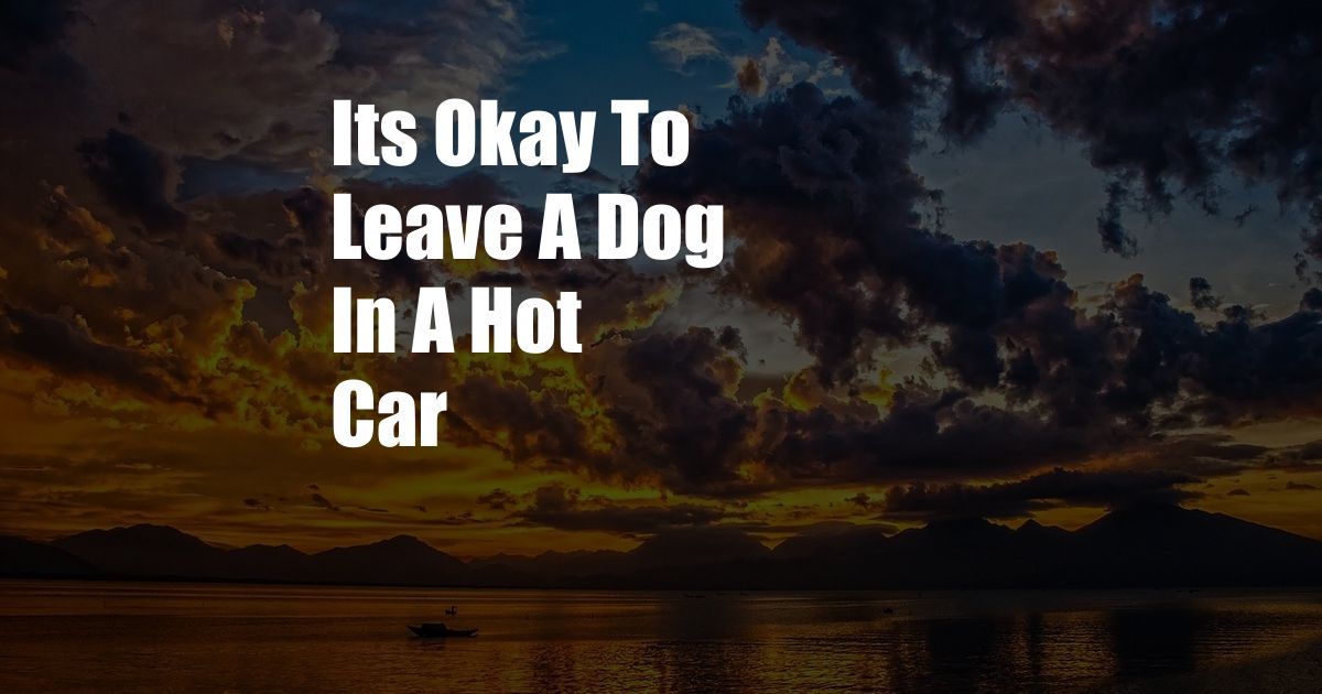 Its Okay To Leave A Dog In A Hot Car