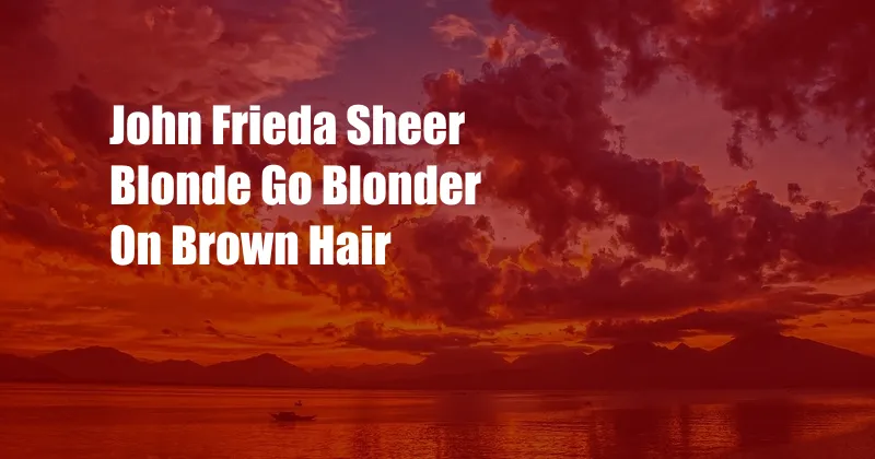 John Frieda Sheer Blonde Go Blonder On Brown Hair