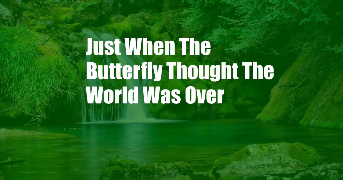 Just When The Butterfly Thought The World Was Over