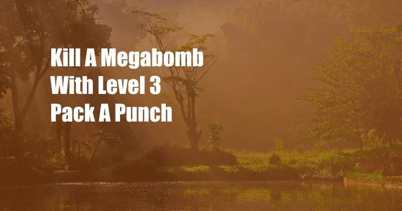 Kill A Megabomb With Level 3 Pack A Punch