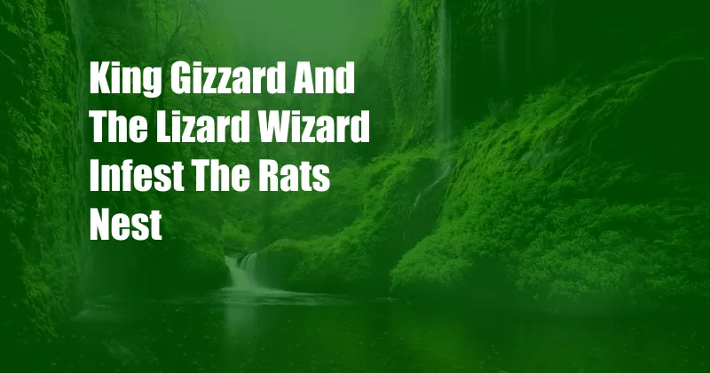 King Gizzard And The Lizard Wizard Infest The Rats Nest