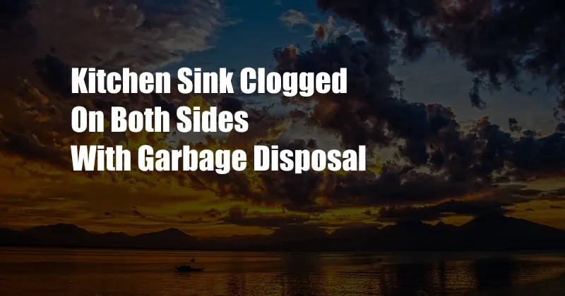 Kitchen Sink Clogged On Both Sides With Garbage Disposal