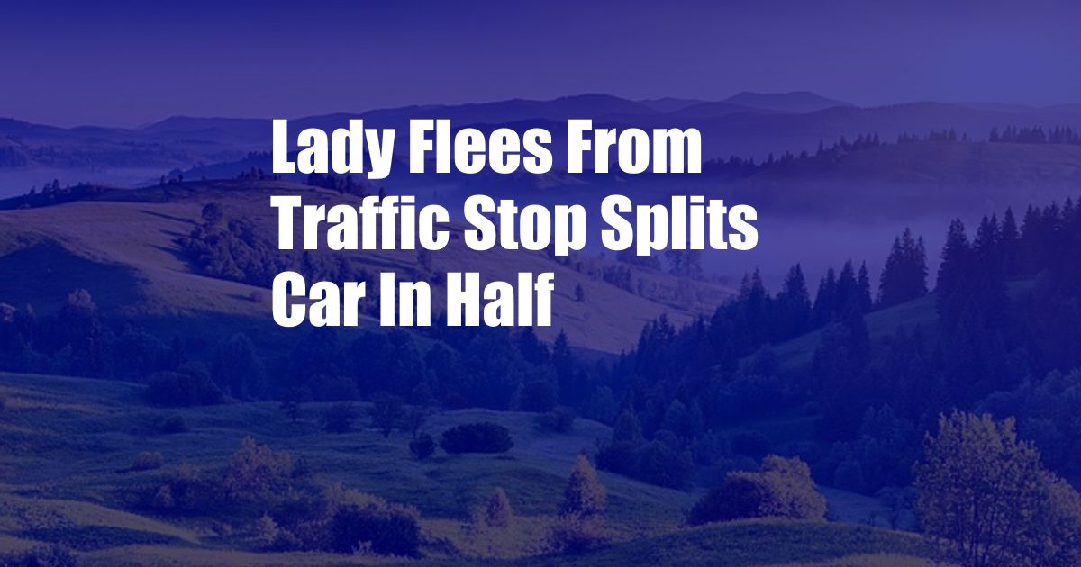 Lady Flees From Traffic Stop Splits Car In Half