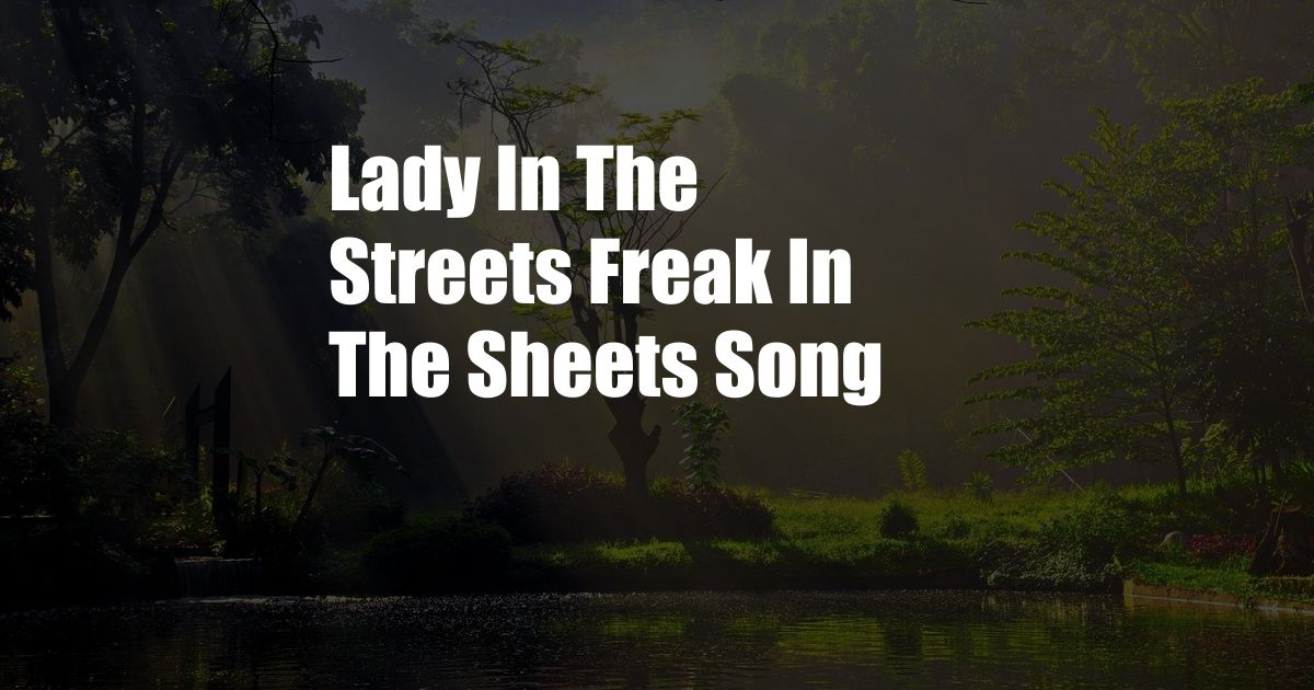 Lady In The Streets Freak In The Sheets Song