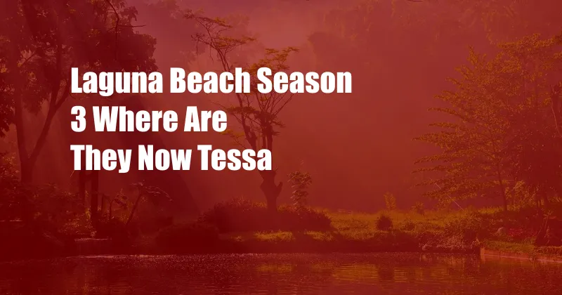 Laguna Beach Season 3 Where Are They Now Tessa