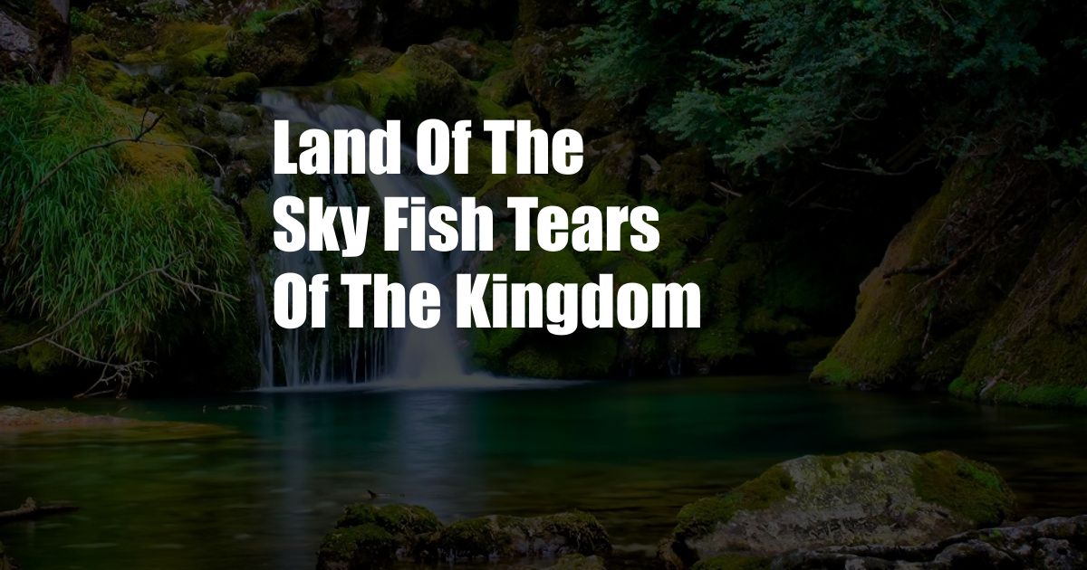 Land Of The Sky Fish Tears Of The Kingdom