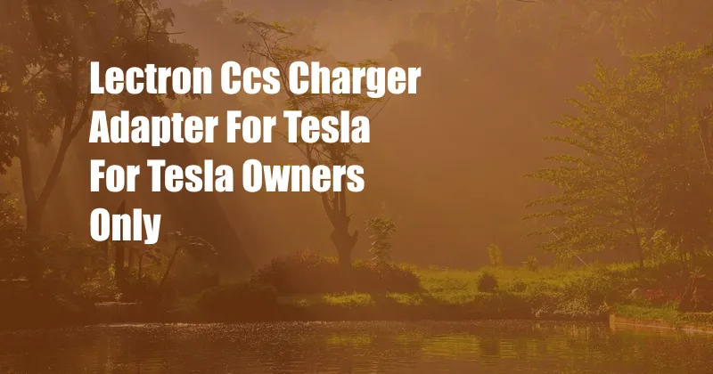 Lectron Ccs Charger Adapter For Tesla For Tesla Owners Only