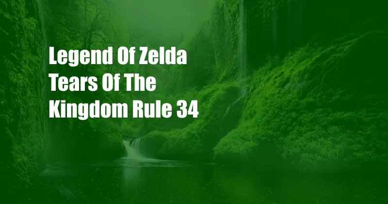 Legend Of Zelda Tears Of The Kingdom Rule 34